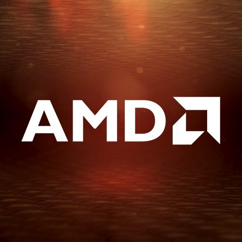 02AMD.jpg