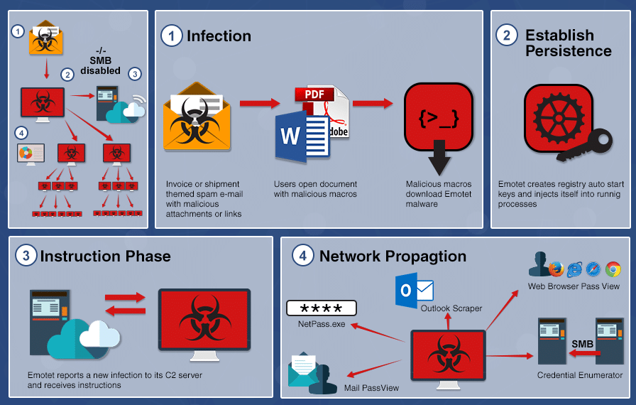 virus_infection.png