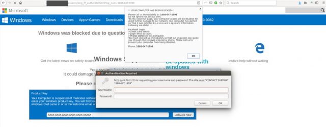 fake-microsoft-support-page-640x249.jpg