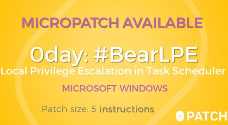 micropatch-BearLPE.jpg