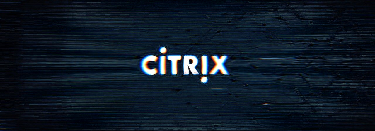 Citrix_(3).jpg