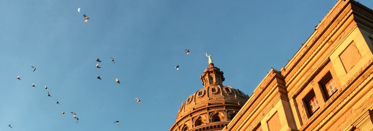 Austin_Texas_State_Capitol.jpg