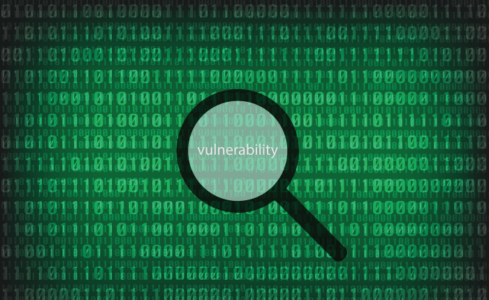 4vulnerability.png