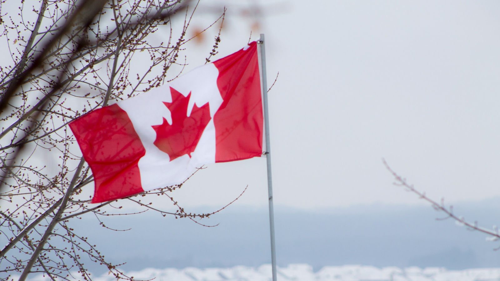 canada_flag_blurry.jpg