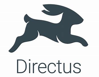 Directus.jpg