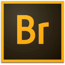 Adobe Bridge.jpg