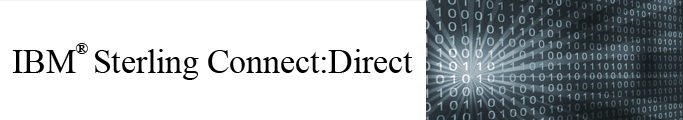 IBM Sterling Connect Direct Web Services.jpg