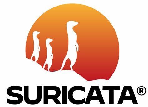 Suricata.jpg