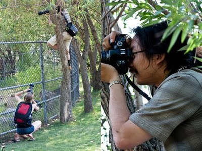 funny-photographers-52.jpg